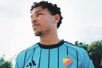 Mikael Anderson