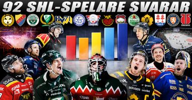 92 SHL-spelare svarar: Klubben flest vill spela för – och de har bäst fans
