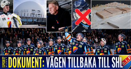 Dokument Djurgården: Spelet bakom SHL-avancemanget
