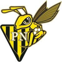 FC Progrès Niederkorn