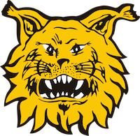 fc-ilves